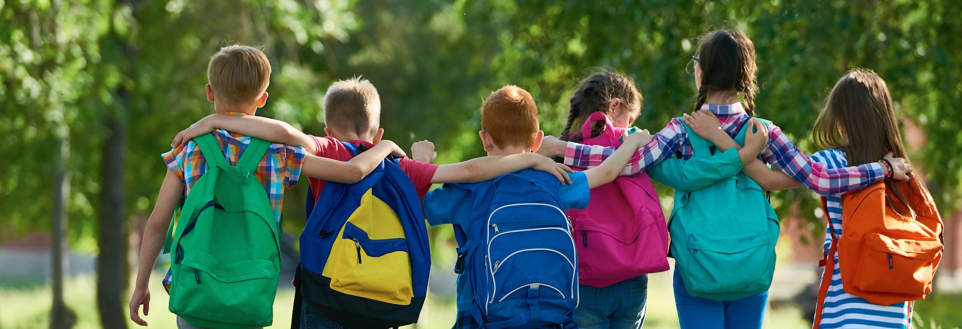 Flight Free Schools header image