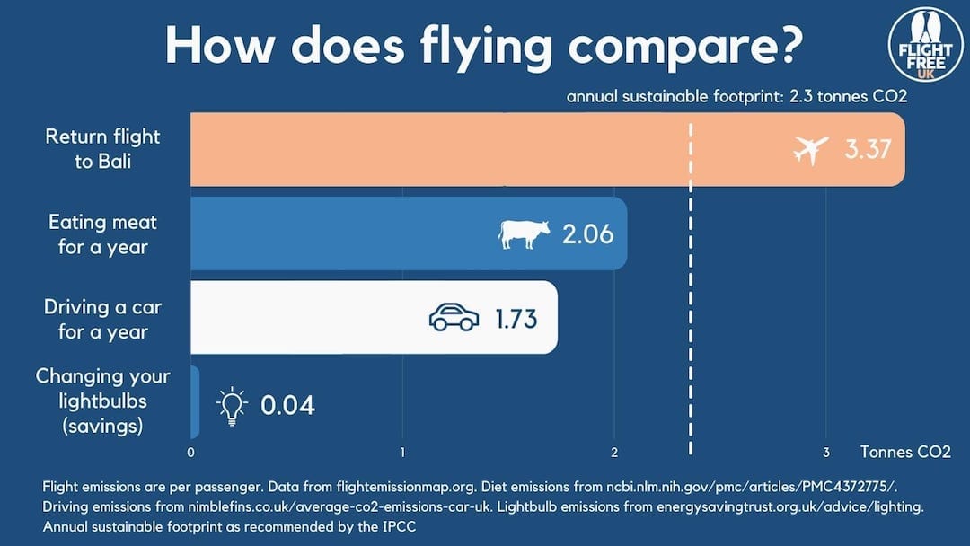 Is it better to be vegan or give up flying? | Flight Free UK