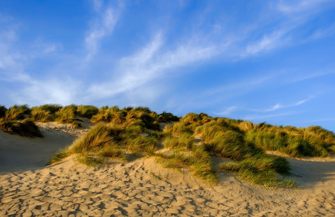 sand dunes at Camber sands