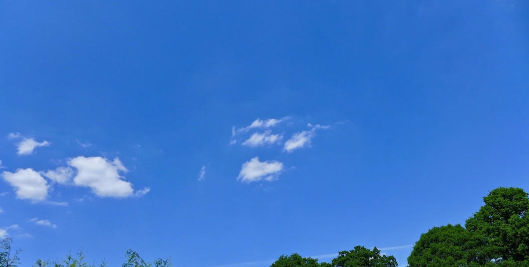 Picture shows a clear blue sky with only small fluffy white clouds. Only one small vapour trail is visible in the bottom right corner behind the tops of a few trees.