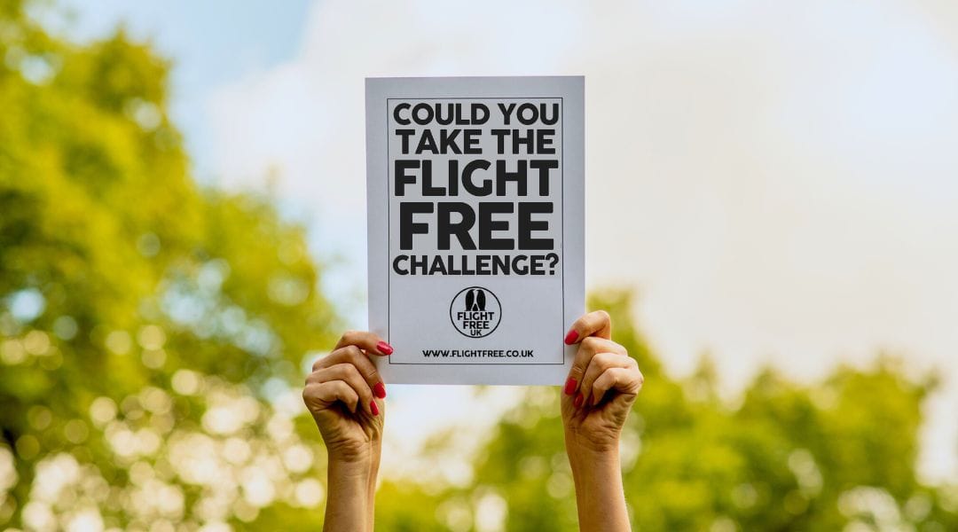 Image for article What is the Flight Free Challenge?