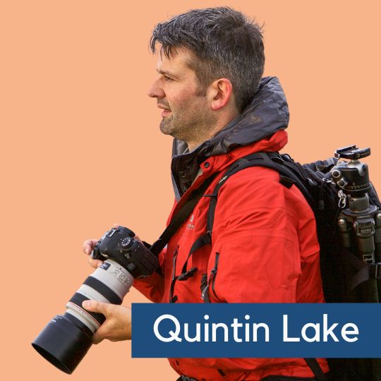 Image for In conversation with Quintin Lake