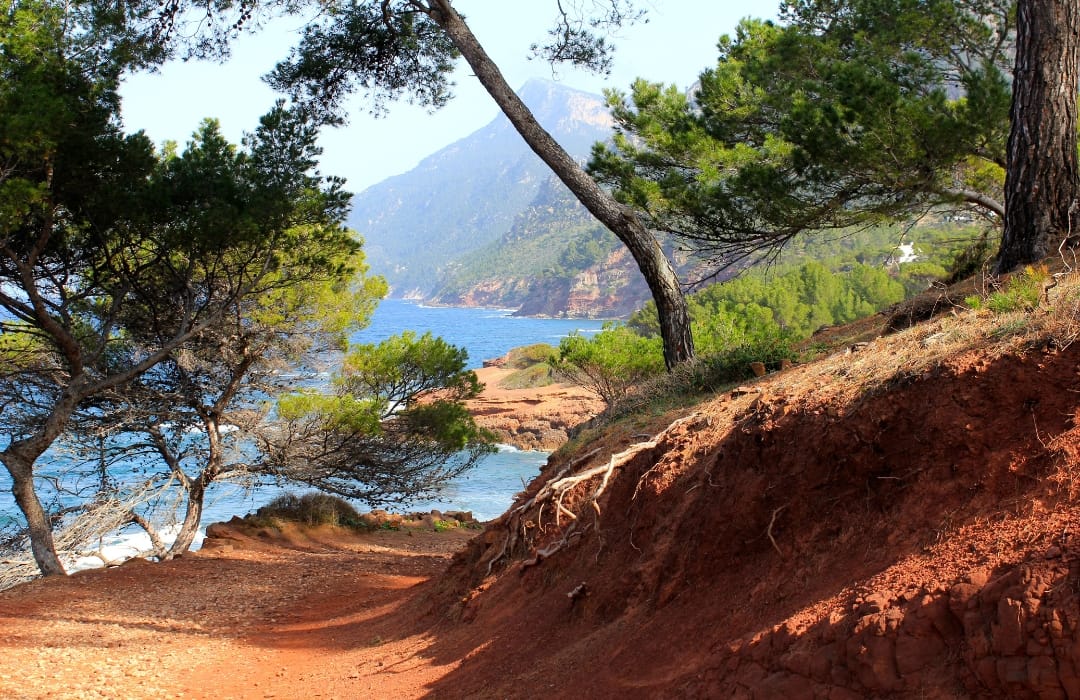 a sandy path leads towards the sea with mountains in the background