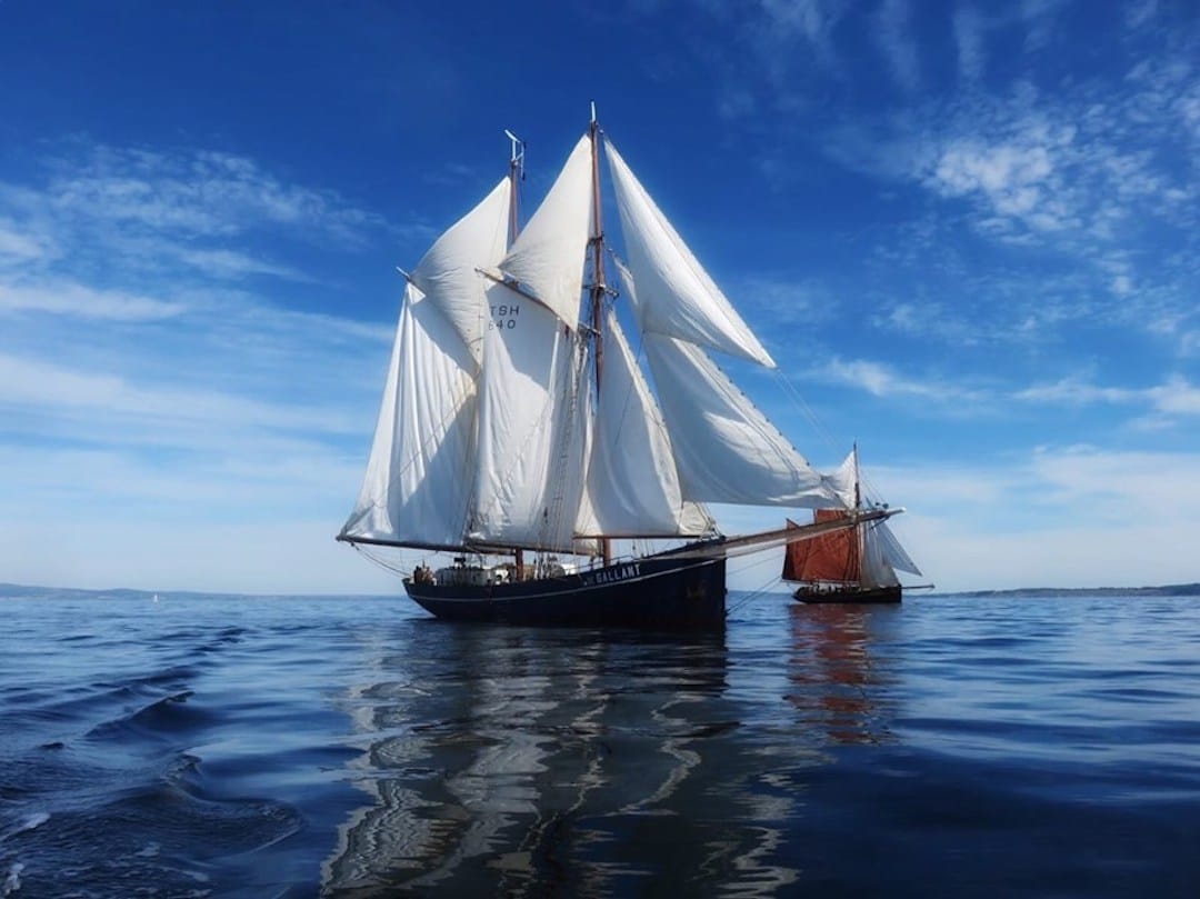 Image shows a sailing boat on the ocean with large white sails