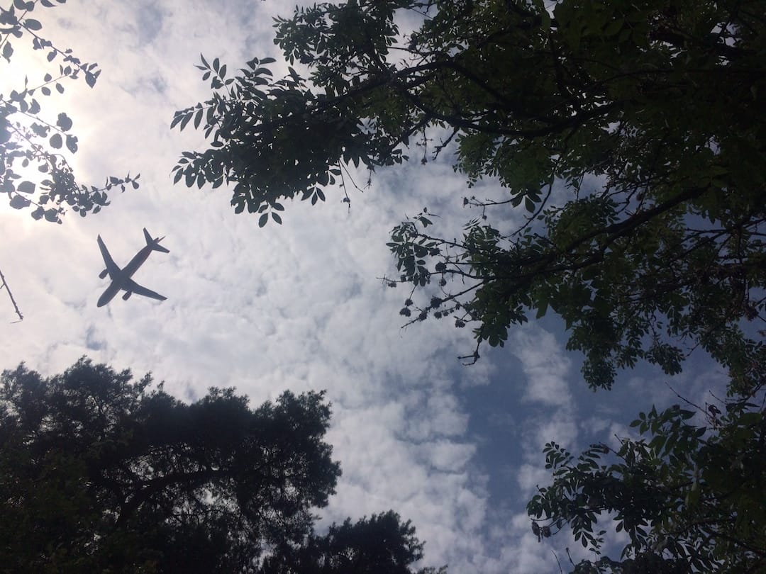 Image shows an aeroplane flying overhead, silhouetted against the white clouds and the sun. There are tree branches in the foreground