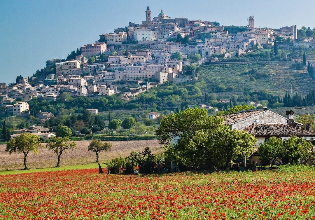 Old Italian buildings cover a tree-covered hill. There is an ancient church at the very peak. In the foreground are fields covered in poppies and a few small trees. The sky is blue. 