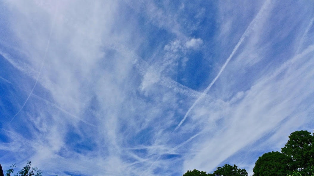 Picture shows a blue sky that has been filled with vapour trails from aeroplanes. 